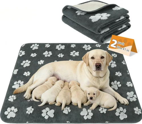 Miniatura 26 de KOOLTAIL Almohadillas lavables para orina de perros, paquete de 2 almohadillas de entrenamiento súper absorbentes reutilizables impermeables