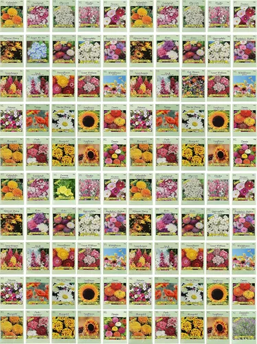 ¡Juego de 100 paquetes surtidos de semillas de flores Valley Green! Semillas de flores a granel - Más de 20 variedades incluidas