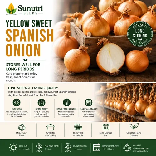 Miniatura 7 de Semillas de cebolla española dulce amarilla para plantar – Variedad de cebolla bulbante de día largo – Cebollas dulces suaves grandes para jardines