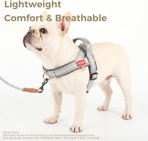 Miniatura 6 de Arnés sin tirones para perro, con asa, chaleco reflectante ajustable Corgi, arnés acolchado de malla de aire transpirable para mascotas con clip