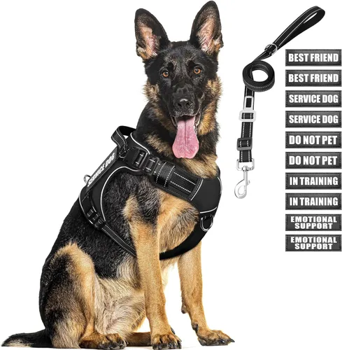 Miniatura 18 de Juego de arnés táctico para perros y correa para perros grandes, chaleco de perro de servicio resistente sin tirones y 10 parches con cinturón
