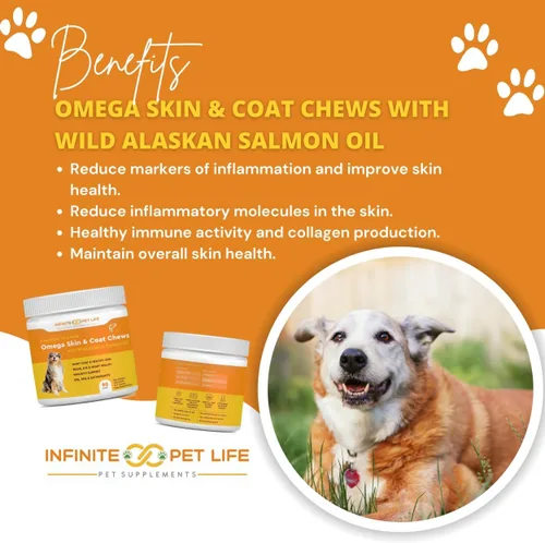 Miniatura 3 de Sabor a salmón, Omega Skin & Coat Soft Chews con aceite de salmón salvaje de Alaska