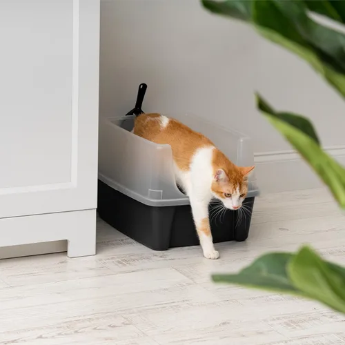Miniatura 5 de IRIS USA Caja de Arena Grande para Gatos con Escudo Contra Dispersión y Pala, Bandeja de Arena para Gatos de Lados Altos con Parte Superior Abierta