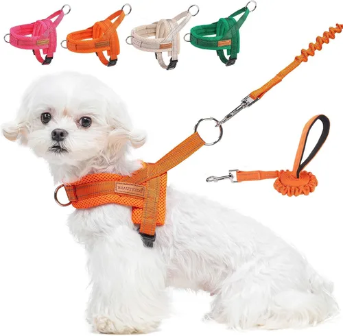 Miniatura 12 de BEAUTYZOO Arnés para Perros Pequeños, Juego de Arnés y Correa sin Tirones, Arnés de Chaleco para Cachorros Suave a Prueba de Escapes con Manija