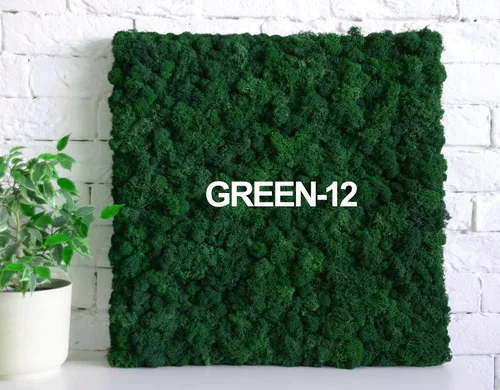 Miniatura 6 de Musgo de Reno Preservado Verde Natural Kit de Bricolaje Arte de Jardinería Decoración de Pared Decoración de Floristería Decoración de Mesa