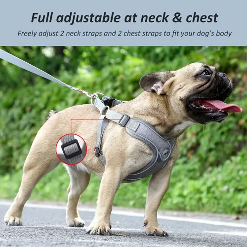 Miniatura 3 de Arnés para perro con juego de correa, arneses para cachorros con acolchado transpirable para entrenamiento y carrera de perros pequeños (XS, gris)