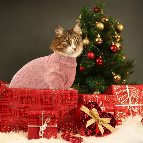 Miniatura 6 de Idepet Sphynx Suéter Camisa para Gatos sin Pelo Gatitos Ropa Suave para Cachorros Pullover Pijamas Lindas para Gatos Mono de Algodón Vestimenta