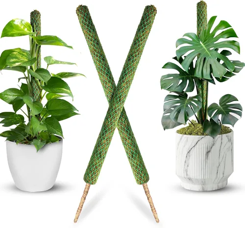 Miniatura 13 de DUSPRO Poste no doblable de 59 pulgadas para plantas trepadoras grandes, poste de musgo grande para Monstera, estacas para plantas