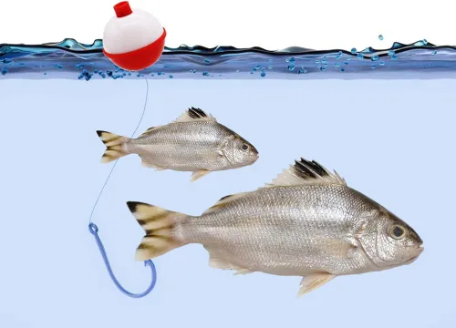 Miniatura 6 de 60 flotadores de pesca, bobber de pesca de ABS duro a granel, flotadores redondos de boya con botón para accesorios de aparejos de pesca, 1/1.5