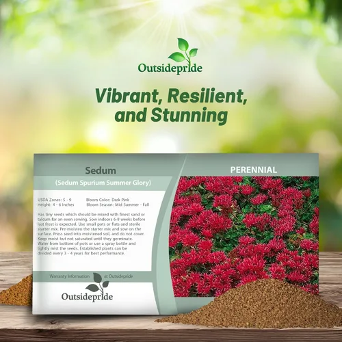 Miniatura 4 de Outsidepride Summer Glory Semillas Sedum - 1000 semillas perennes de cobertura del suelo para plantar, plantas suculentas resistentes al frío