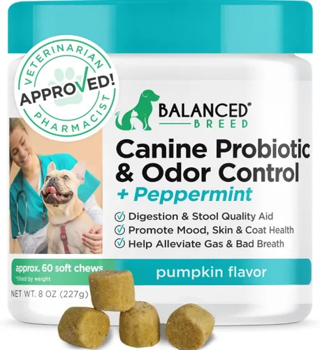 Balanced Breed Probióticos para perros Enzimas para la salud digestiva fabricadas en Estados Unidos aprobados por veterinarios y farmacéuticos,