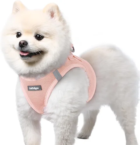 Miniatura 60 de rabbitgoo Arnés para perro pequeño, chaleco de malla suave para cachorros con hebilla de seguridad, arnés reflectante transpirable para mascotas