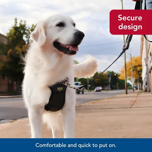Miniatura 8 de Coastal Pet Walk Right - Arnés acolchado para perro con conexión frontal y sin tirones, ajustable y cómodo, ajuste para razas pequeñas y grandes
