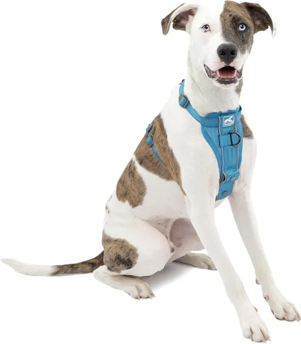 Miniatura 16 de Kurgo Tru-Fit - Arnés inteligente para caminar para perros, ajuste cómodo, arnés ajustable, reflectante para mascotas, liberación rápida