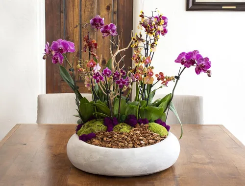 Miniatura 6 de SuperMoss (23114) Corteza para macetas de orquídeas, natural, 4 cuartos de galón