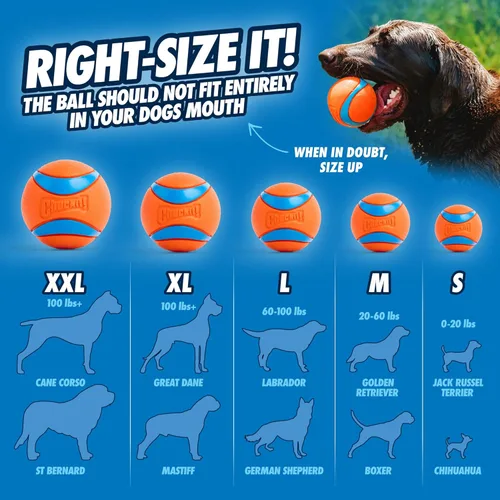 Miniatura 4 de Juguete para perro Chuckit! Ultra Ball, mediano (6.35 cm de diámetro), paquete de 1, para razas de 9-27 kg