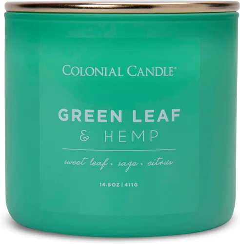 Miniatura 10 de Colonial Candle Winter Woods - Vela perfumada en frasco, colección Pop of Color, 3 mechas, verde, 14.5 onzas, hasta 60 horas de combustión