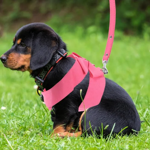 Miniatura 2 de POPETPOP Juego de arnés y correa de microfibra rosa para perro, XL, ajustable, sin tirones, a prueba de escape, diseño integrado, cómodo