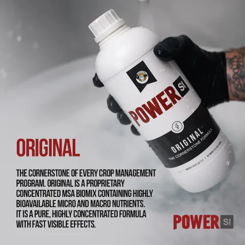 Miniatura 3 de PowerSI - Suplemento de sílice original de 1 litro, aditivo de fortalecimiento vegetal con ácido monosilícico, mejora la absorción de nutrientes