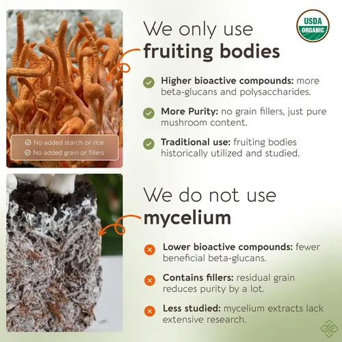 Miniatura 5 de Longevity Botanicals Cápsulas orgánicas de hongos Cordyceps Extracto de suplemento de 120 unidades Cuerpo fructífero Cordyceps Militaris ≥30%
