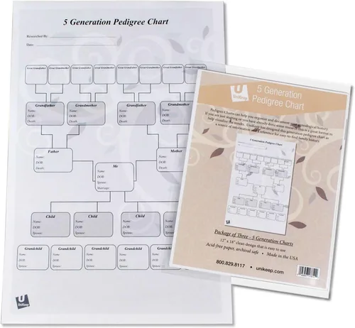 Miniatura 2 de UniKeep Gráficos de pedigrí para la investigación de genalogía - Papel de calidad de archivo (pedigrí de 5 generaciones)