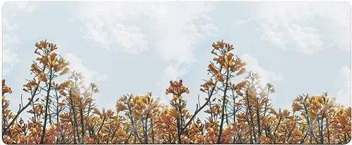Tapete de baño para bañera y hojas de flores de otoño, antideslizante, de secado rápido y absorbente, tierra de diatomeas, fregadero, dormitorio,