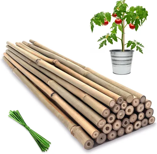 BOVITRO - Estacas para plantas, palitos de bambú natural de jardín de 18 pulgadas, 20 estacas de apoyo para plantas de tomates, frijoles, vegetales