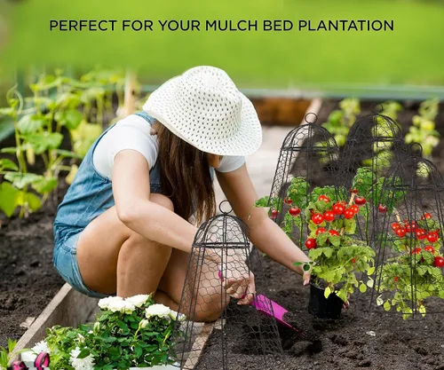 Miniatura 7 de boldworks Cloches de Jardín para Plantas, Jaulas de Alambre de Pollo para Proteger de Animales al Aire Libre, Extra Grandes, Resistente a