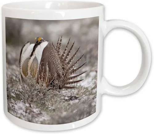 Miniatura 9 de 3dRose Taza de café, tamaño – 11oz – Faro de Cabo Blanco SP, Port Orford Oregon – US38 MGI0164 – Mark Gibson Lighthouses – divertido regalo de taza