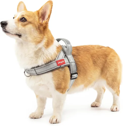 Miniatura 15 de Arnés para perro sin tirón con asa, chaleco reflectante ajustable Corgi, arnés para mascotas acolchado con malla de aire transpirable con clip