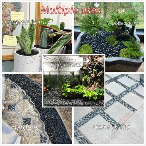 Miniatura 6 de Rocas para pintura, 200 piedras pequeñas de río, piedras lisas seleccionadas a mano para petroglifos artesanales, actividades de pintura, decoración