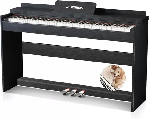 Miniatura 7 de Piano digital de 88 teclas con teclado pesado, soporte, cubierta, acción de martillo, teclado acústico eléctrico vertical de tamaño completo, pedal