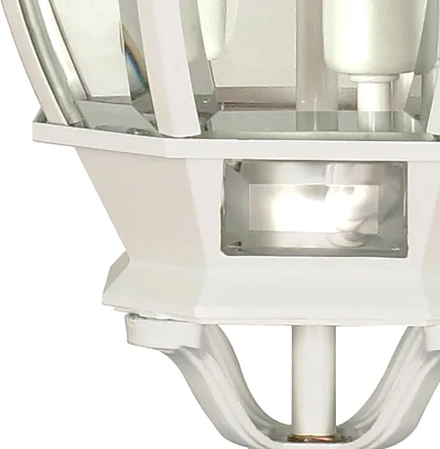 Miniatura 7 de Nuvo 60/885 Farol de pared con paneles biselados de color claro., 60/894, 60.00watts, 120.00 volts