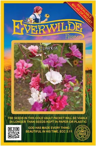 Miniatura 4 de Everwilde Farms - Semillas de flores silvestres nativas de Clarkia de 1 onza - Gold Vault