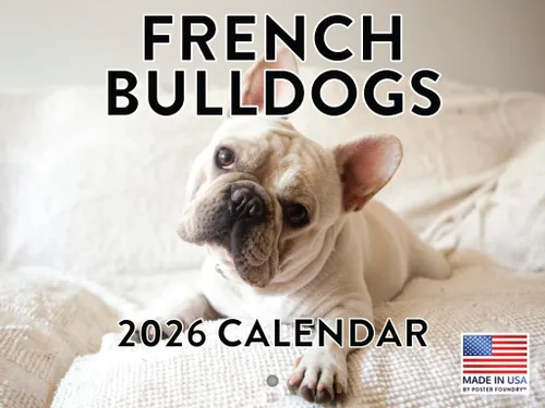 Miniatura 26 de Calendario de pared mensual 2025 Great Dane de 12 meses, fabricado en Estados Unidos