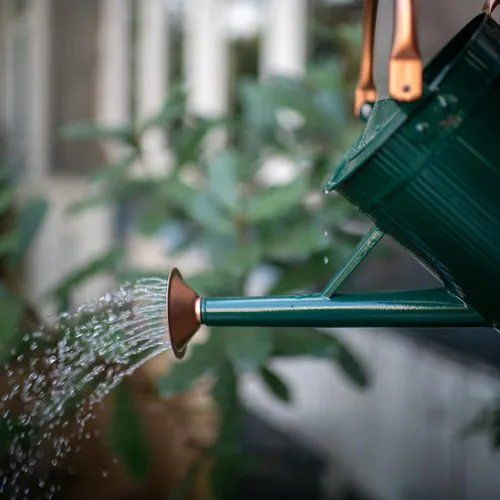 Miniatura 4 de Regadera de 1 galón, regadera de plantas, regadera de metal con boquilla extraíble, jarra de riego galvanizada, bonita lata de agua verde para uso