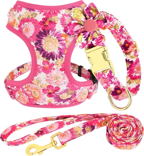 Beirui Collares, arneses y correas lindos para perritas, juego de collar y correa ajustable para perros con flor - Chaleco de malla suave para