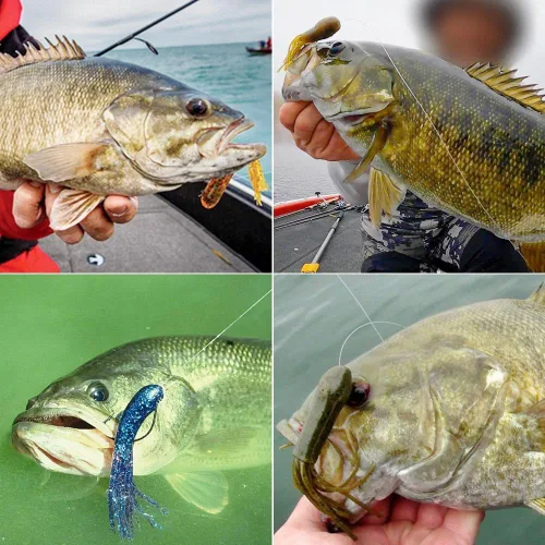 Miniatura 6 de XFISHMAN -Tubo-Jig-Cabezas-para-Lubino-Pesca-Tubo-Ganchos 1/16oz 1/8oz 3/16oz 1/4oz (Paquete de 12)