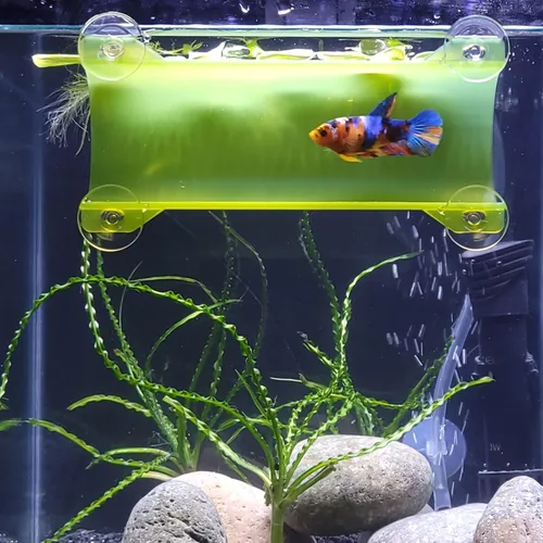 Miniatura 12 de Marca Betta Tunnel (negro opaco)