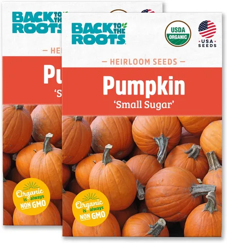 Miniatura 8 de Paquete de semillas - Calabaza 'Azúcar pequeño' 0.09 oz