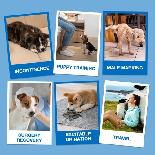 Miniatura 7 de Dono Pañales desechables para perros machos, 40 unidades, con indicador de humedad, a prueba de fugas, con tecnología de gel de secado rápido