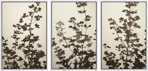Miniatura 24 de SIGNWIN Lienzo enmarcado para pared, juego de arte de collage de hojas transparentes en blanco y negro, ilustraciones de naturaleza silvestre, arte