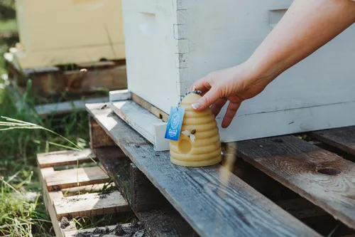 Miniatura 6 de The Beeswax Co. - Vela grande de cera de abejas de colmena – Perfumada a miel natural, de larga duración y ecológica, mecha de algodón, cera