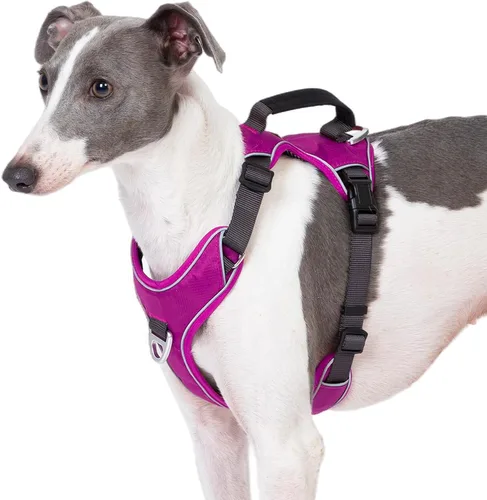 Miniatura 10 de Arnés para perro sin tirones con 2 clips para correa, chaleco reflectante, ajustable y acolchado, clips delanteros y traseros fáciles de caminar