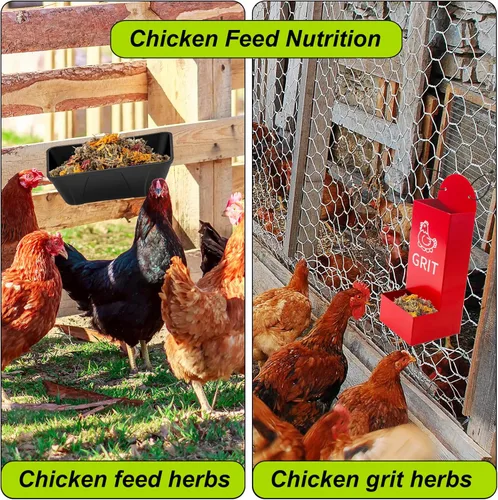 Miniatura 6 de 21 Oz Hierbas para nido de pollo premezcladas y flores secas, hierbas naturales para caja nido, almohadillas para nido de aves, cama para descanso