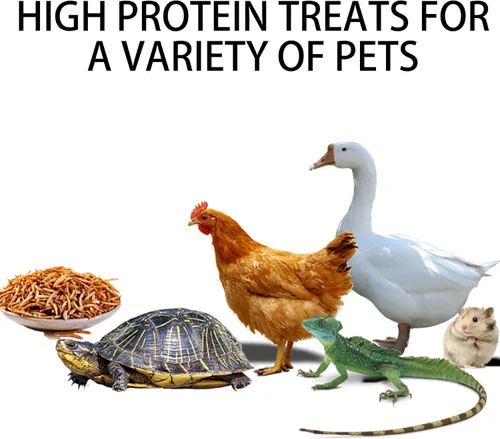 Miniatura 6 de I LOVE WORMS Gusanos secos (2.27 kg), alimento para pájaros silvestres, gusanos altos en proteínas para pájaros azules, pollos, patos, reptiles
