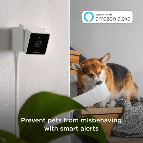 Miniatura 2 de Cámara de seguridad interior Petcube Cam para el hogar con video HD 1080p, audio bidireccional, detección de movimiento y aplicación para teléfono