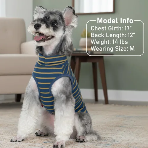 Miniatura 6 de KYEESE Paquete de 2 suéteres para perro, sudadera elástica para perros, ropa suave para mascotas, abrigos cálidos para perros, cuello alto, suéteres