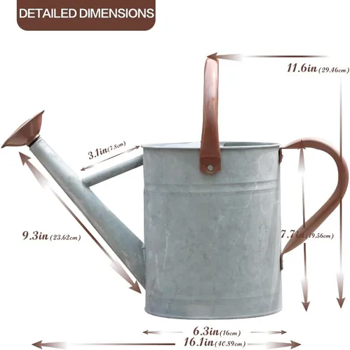 Miniatura 2 de Regadera de metal, latas de riego de un galón de acero inoxidable para riego de plantas de jardín interiores y exteriores (zinc de 1 galón)