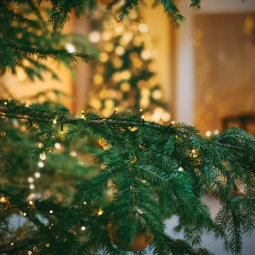 Miniatura 7 de XTF2015 Luces de Navidad LED de 105 pies con 300 LED, Enchufe de Extremo a Extremo, 8 Modos, Luces de Navidad Certificadas UL para Exteriores e